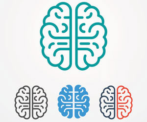 3 Brains in 1: How to be a Great VP Sales